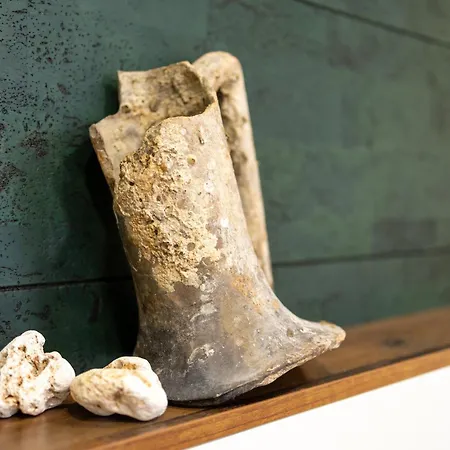 Center Apartment, Walk To & Sea Garden Appartement Varna